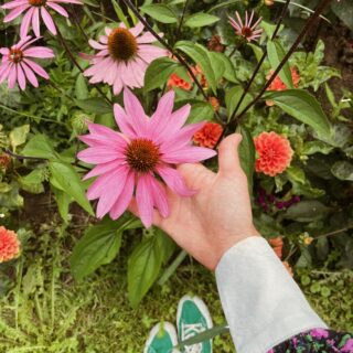 Jakie pytania powinieneś sobie zadać podczas redagowania książki?